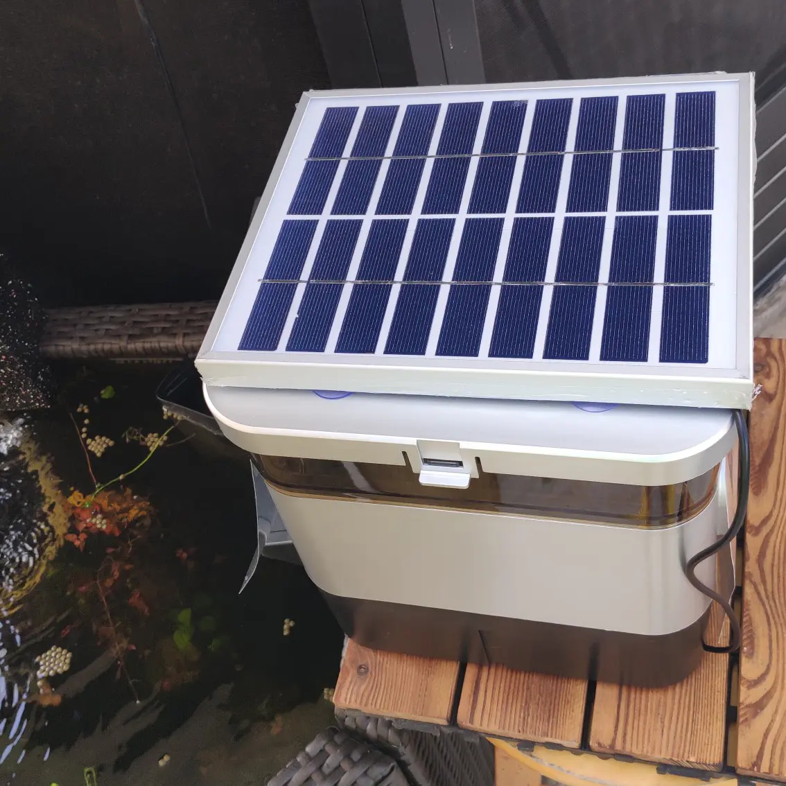 Automatic Fish Feeding Machine Durable Automatic Slow Feeder