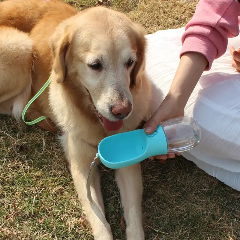 Premium Affordable Outdoor Portable Pet Feeding Folding Water Cup