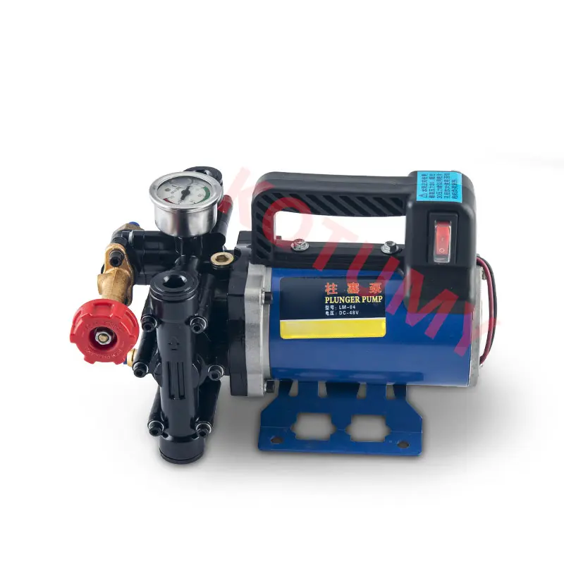 Electric High Pressure Pump Spraying Car Wash Irrigation Sprayer Double Cylinder Plunger Agricultural Sprayer 12V/24V/48V/60V/22
