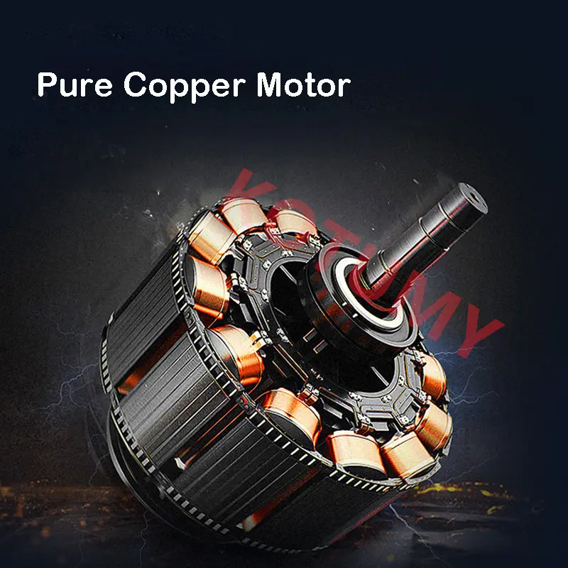 Electric High Pressure Pump Spraying Car Wash Irrigation Sprayer Double Cylinder Plunger Agricultural Sprayer 12V/24V/48V/60V/22