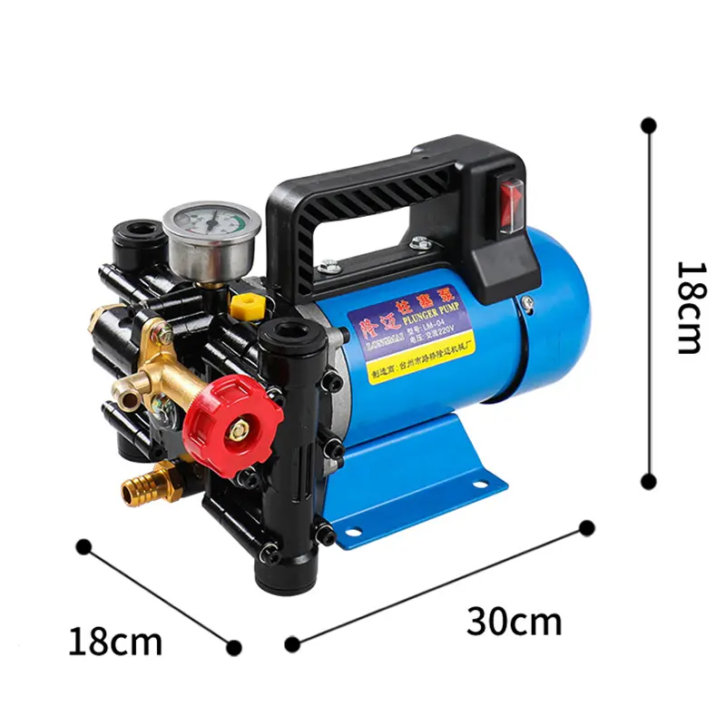 12V/24V/60V/72V/220V High Pressure Agricultural Electric Double-Cylinder Plunger Pump Sprayer Piston Irrigation Sprayer