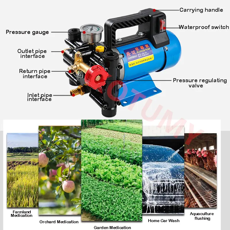 12V/24V/60V/72V/220V High Pressure Agricultural Electric Double-Cylinder Plunger Pump Sprayer Piston Irrigation Sprayer