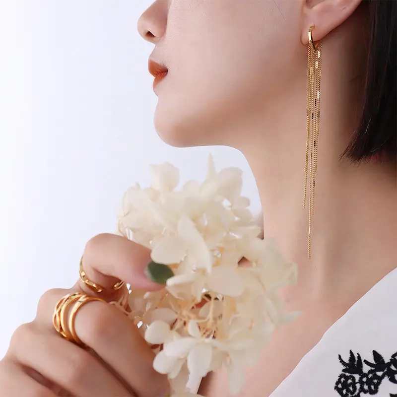 Light Luxury Long Tassel Earrings Korean Temperament Earrings Celebrity Versatile Earrings Fashion Personality Ladies Earrings