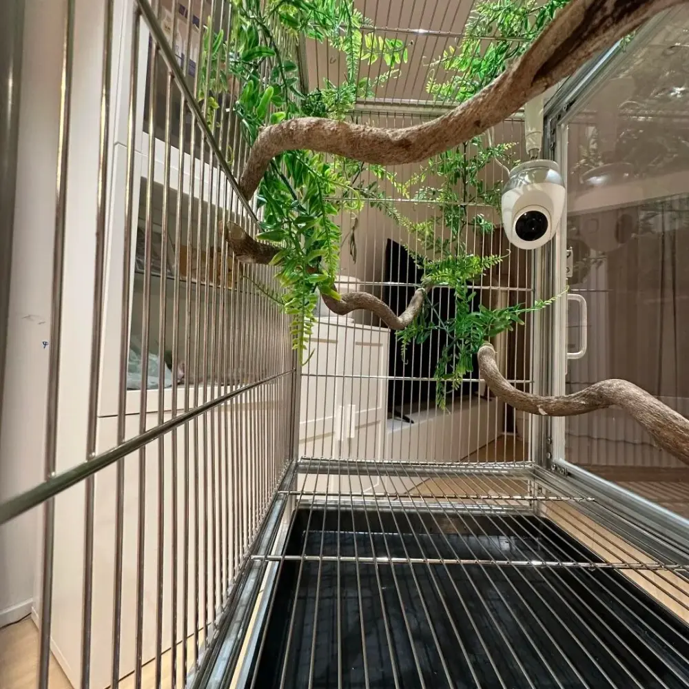 Bird Cage Large Bird Villa Parrot Cage Outdoor Breeding Cage Aluminum Alloy Material Size Accessories Can Be Customized