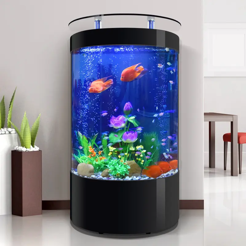 Good Quality Semicircle Glass Fish Tank Durable Fish Tank Pipe Intelligent Goldfish Tank Factory