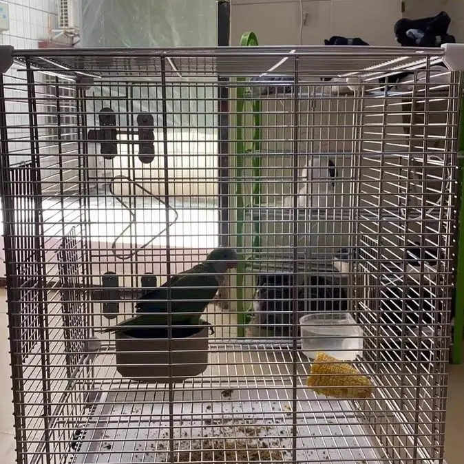 304 Stainless Steel Pet Cage Honey Squirrel Cage Totoro Villa Squirrel Cage With Wheels
