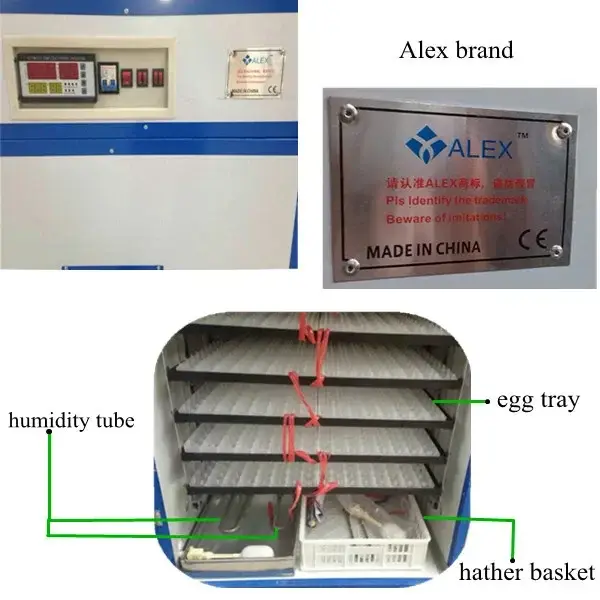 100 Egg Cabinet Incubator Fully Automatic Culture Low Power Consumption Can Hatch Eggs, Duck Eggs, Bird Eggs, Etc.