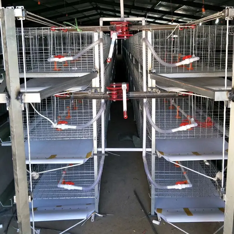 Animal Automatic Retractable Scraper Poultry Dung Cleaner Large Pig/chicken/duck Manure Cleaning Machine Mach Farms And Tai