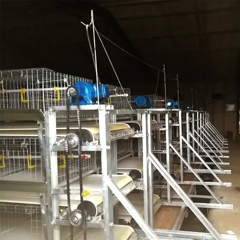 Animal Automatic Retractable Scraper Poultry Dung Cleaner Large Pig/chicken/duck Manure Cleaning Machine Mach Farms And Tai