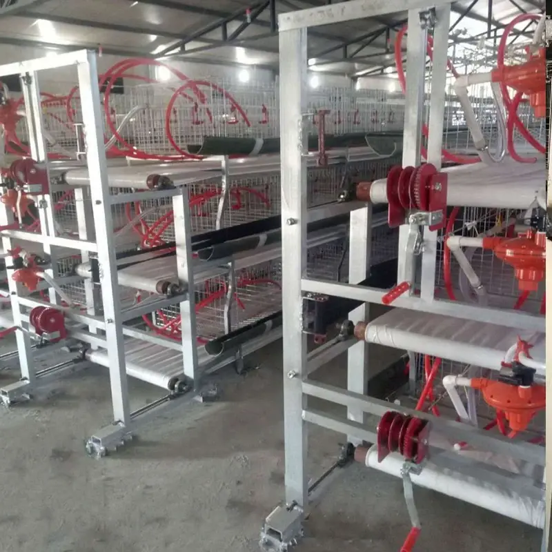 Animal Automatic Retractable Scraper Poultry Dung Cleaner Large Pig/chicken/duck Manure Cleaning Machine Mach Farms And Tai