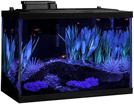 Includes LED Lighting And Decor Aquarium 20 Gallon Glass Small Fish Tanks Kit