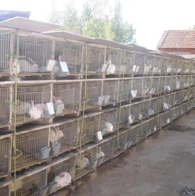 Rabbit Pigeon Chicken Coop Custom Layer Cage