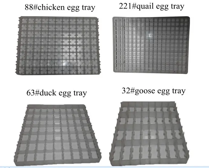 Industrial Grade 16896 Egg Fully Automatic Egg Incubator for Farms, Breeding Farms.