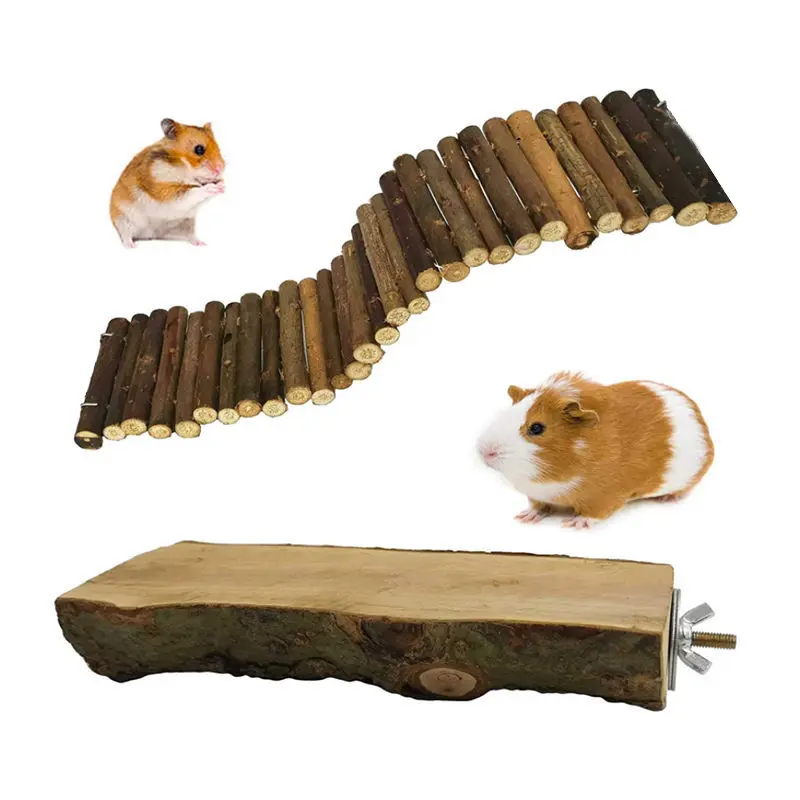 Hamster Toy Swing Ladder Coconut Shell Hammock Gold Bear Decorative Landscaping Supplies Molar Platform Tree Hole Tunnel