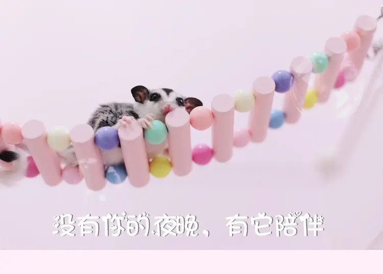 Toys Squirrel Suspension Bridge Climbing Supplies Cage Decoration Cute Pendant Flower Branch Mouse Ladder Hamster Swing