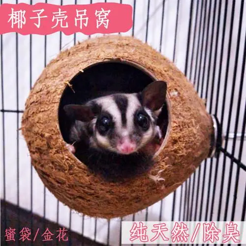 Hamster Ladder Squirrel Honey Bag Glider Climbing Rope Parrot Colored Cotton Rope Station Pole Suspension Bridge Swing Pet Toy