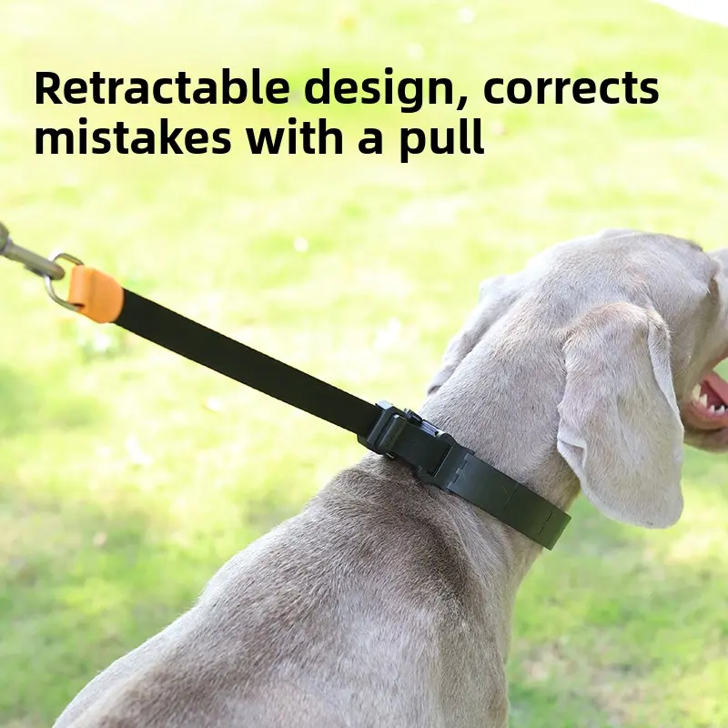 Large Dog Training Collar Explosive Proof P-Chain for Dobermann Golden Retriever Stimulating Prong Ne Collar Pet Supplies