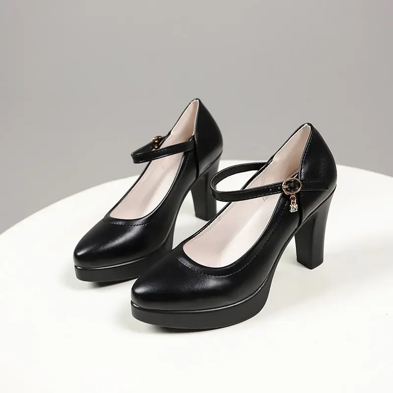 Ankle Strap Thick Heels Pumps for Women 2024 Pu Leather Office High Heeled Shoes Woman's Elegant Platform Mary Jane Shoes Casual