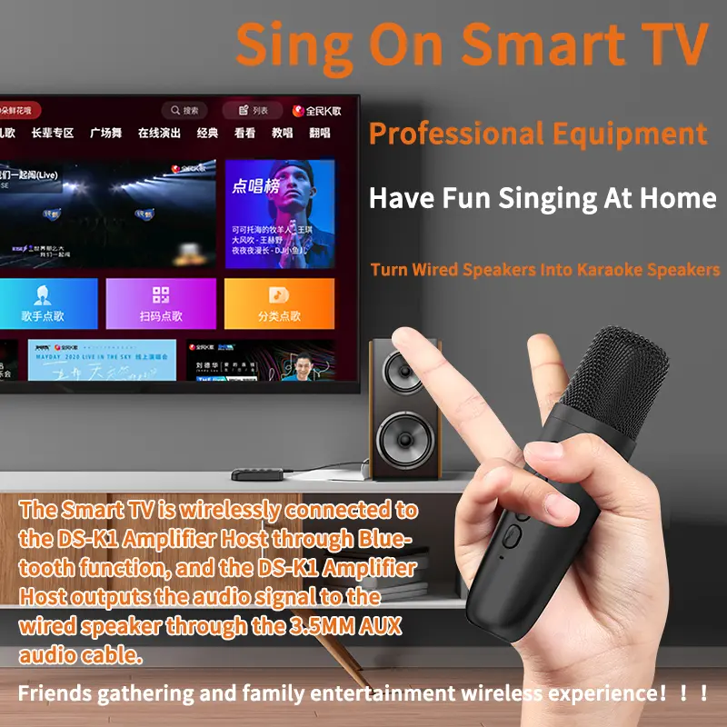 VAORLO DS-K1 Karaoke Companion Bluetooth 5.3 Wireless Dynamic Microphone KTV DSP Mixer System 3.5MM AUX Type-C Amplifier Host