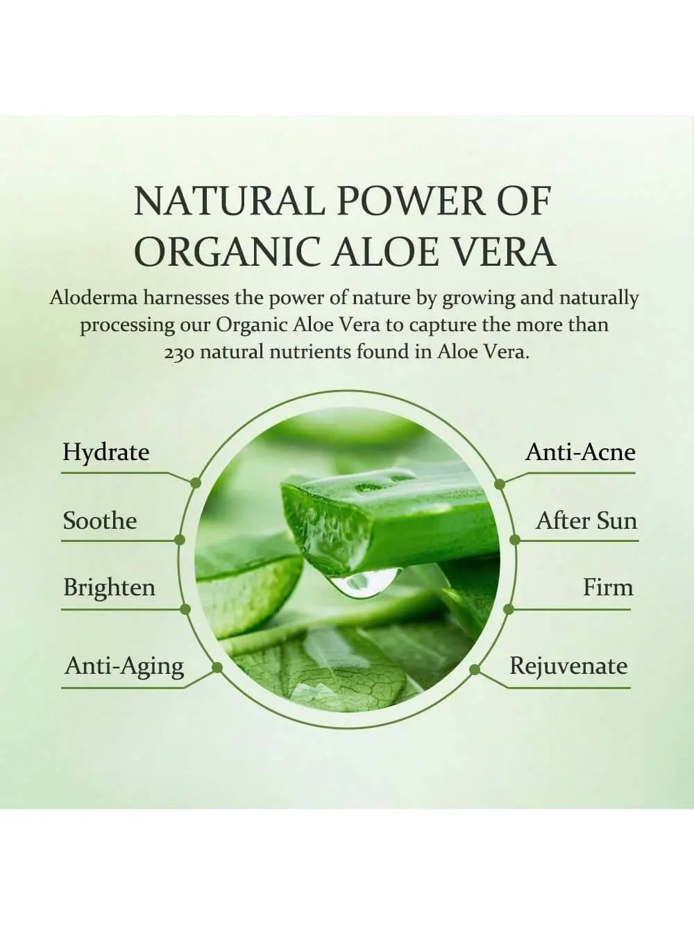 GZE Aloe Vera Gel Boosts Skin Vitality & Hair Hydration & Frizz Control, Sensitive Skin Deeply Moisturizes & Nourishes