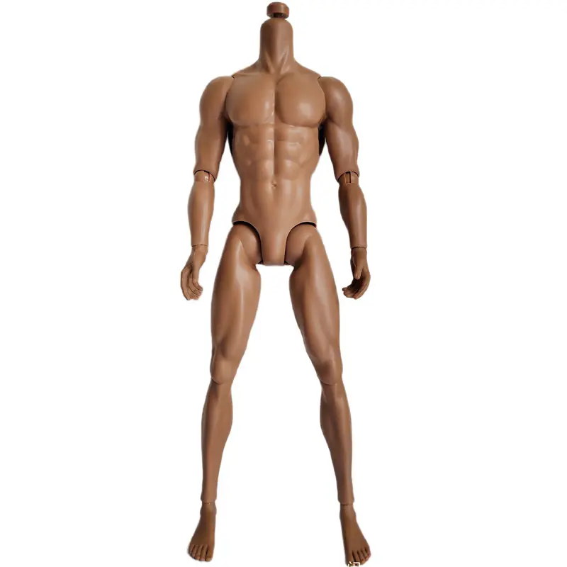 32cm Original Adonis Muscle Body Latino Skin Tone 1/6 Male Dolls Joints Movable Body Make Up Practice Blank Bald Head