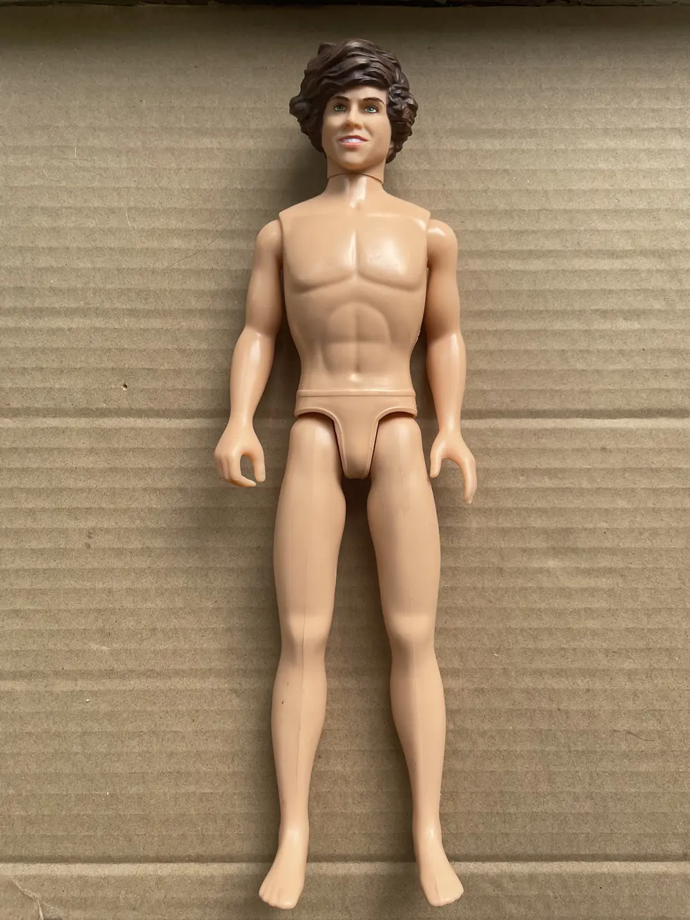 Rare Limited Collections Christopher Prince Figures Doll Heads Princess Doll Practice Make Up Bald Head Girl DIY Toy Doll Heads