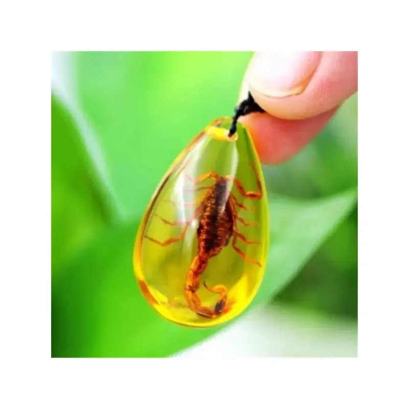Handmade Jewelry Amber Pendant Containing Natural Scorpion Necklace Ornaments Home Decor Stone Wedding Party Travel Gift