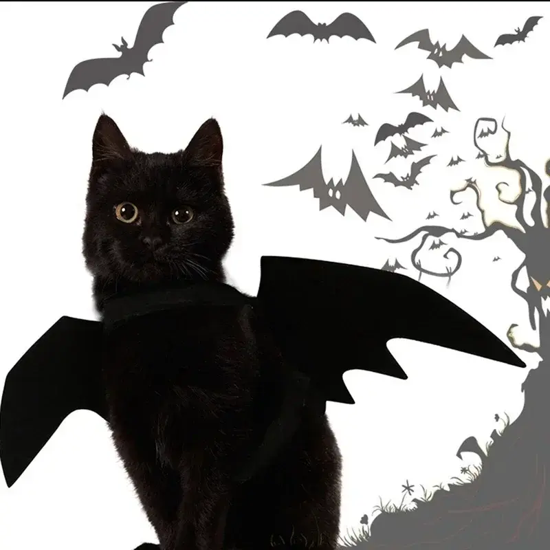 Creative Cute Pet Clothes Black Bat Wings Carrier Costume Cosplay Cat and Dog Party Pet Supplies Cosplay