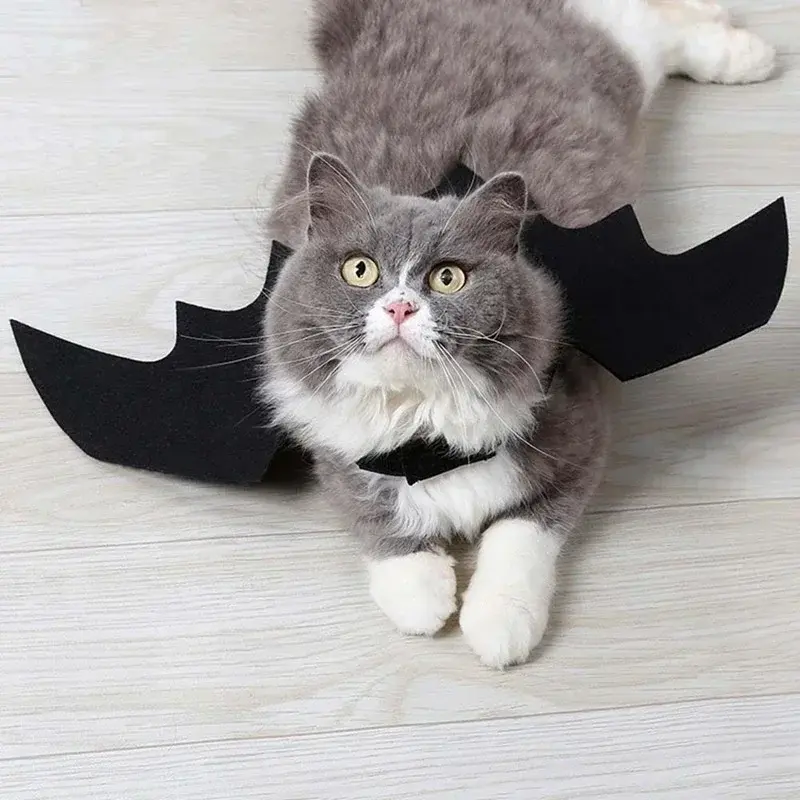 Creative Cute Pet Clothes Black Bat Wings Carrier Costume Cosplay Cat and Dog Party Pet Supplies Cosplay