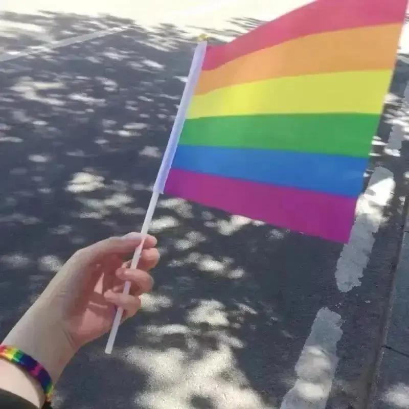 Rainbow Hand-waving Flag Lesbian Gay Bisexual Transgender LGBT Pride Flag 14x21cm Pride Month Colorful Flag Household Decoration