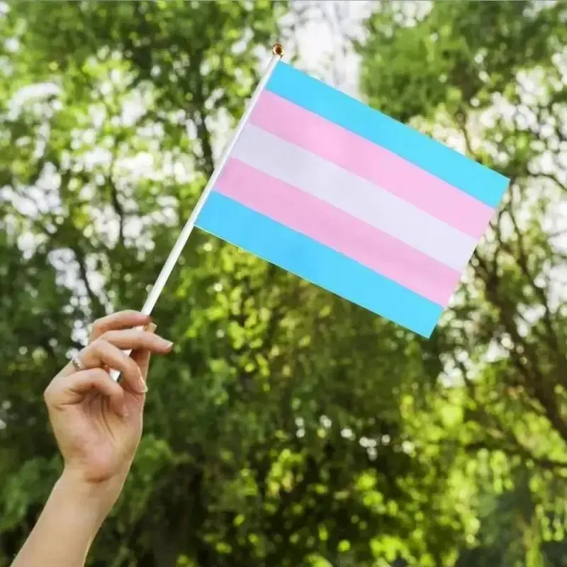 Rainbow Hand-waving Flag Lesbian Gay Bisexual Transgender LGBT Pride Flag 14x21cm Pride Month Colorful Flag Household Decoration