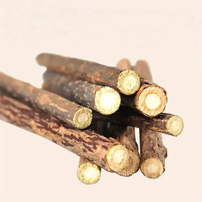 Cat Snacks Sticks 5PCS Cat Cleaning Teeth Pure Natural Catnip Cat Molar Toothpaste Stick Silvervine Actinidia Fruit Matatabi