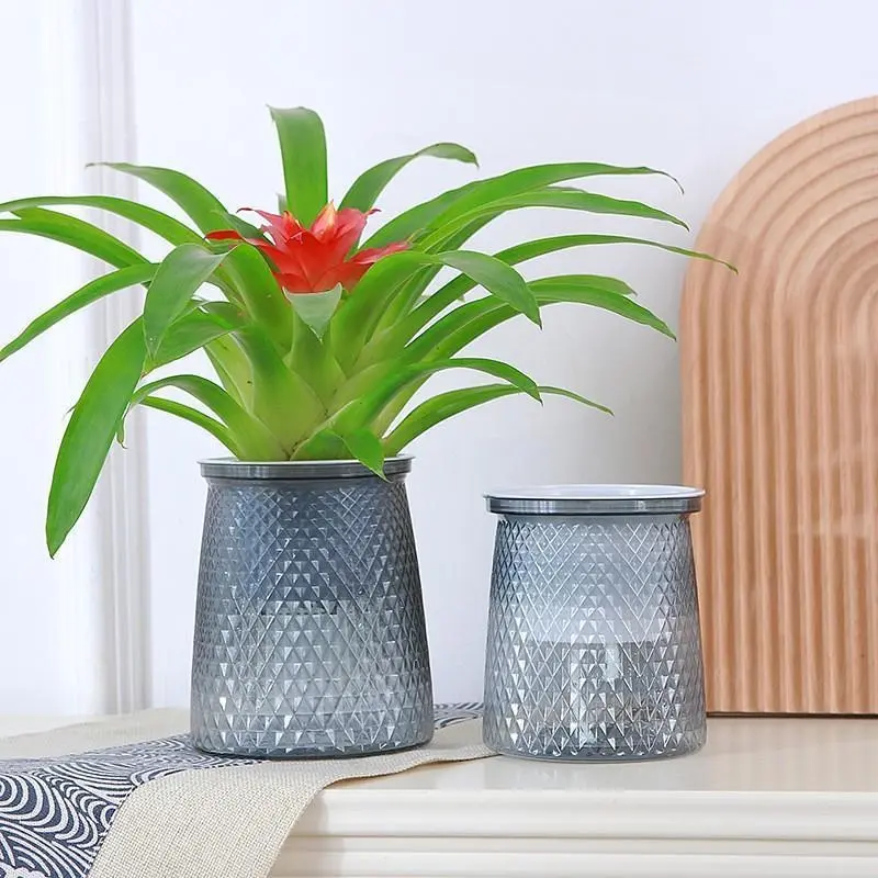 2024 Transparent Self Watering Flower Pot Plastic Plantpot Dual-layer Automatic Lazy Potted Hydroponic Flowerpot for Home Decor