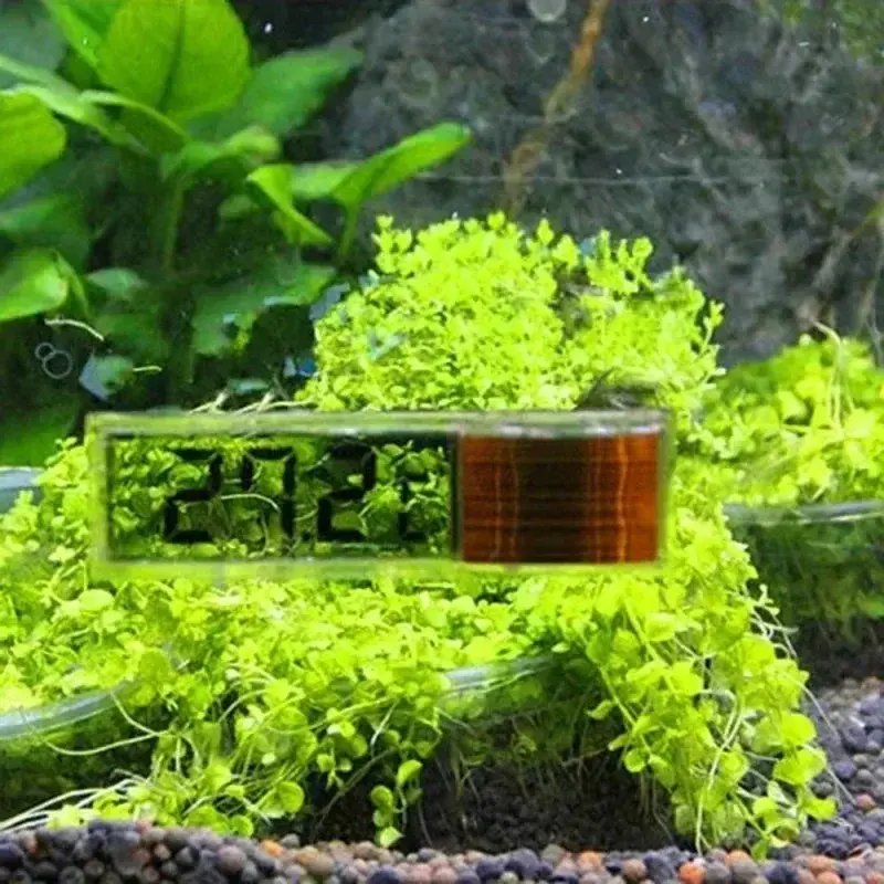 LCD 3D Digital Electronic Temperature Measurement Fish Tank Thermometer Aquarium Thermometer Temperature Control Accessories