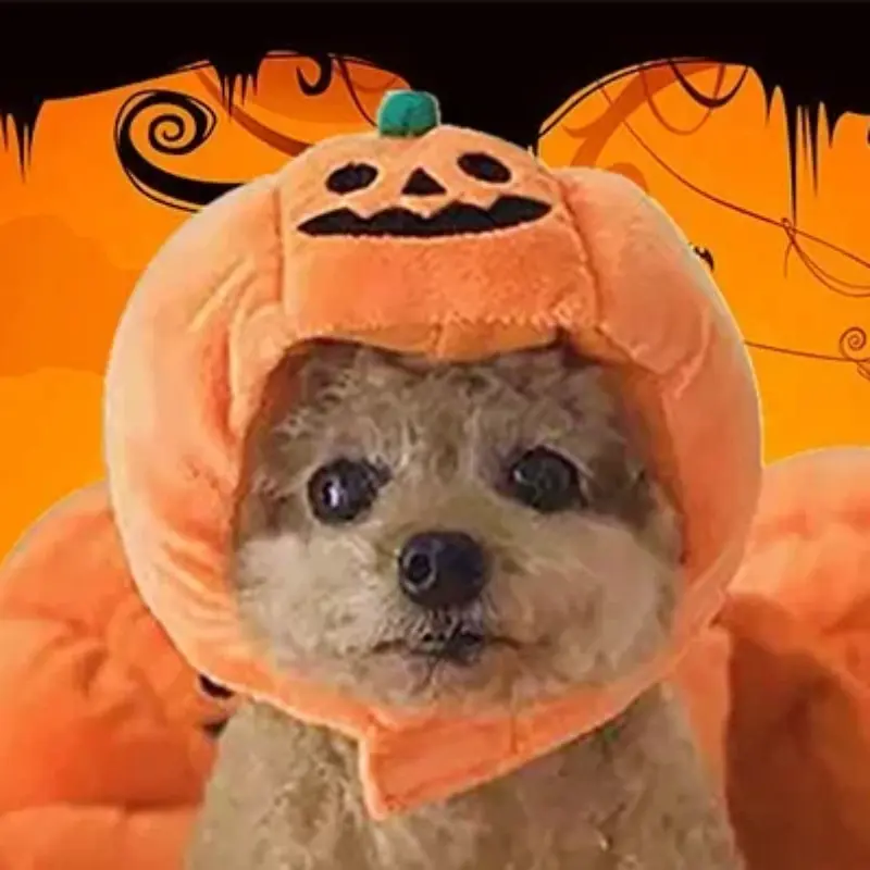 New Creative Halloween Pet Cat Dog Pumpkin Hat Halloween Ghost Day Decorative Supplies Small Medium And Large Dogs Headgear