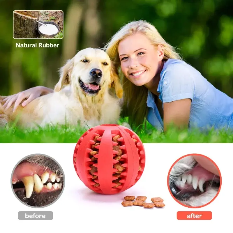 New Silicone Interactive Anti-Bite Puppy Toy Ball Teeth Cleaning And Teething Supplies Available In Many Colors Pet Supplies