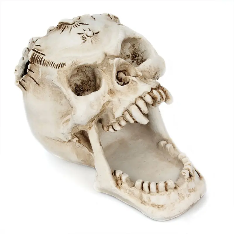 Skull Pen Holder Makeup Brush Holder Skull Pencil Organizer Pot Spooky Goth Decorations Skull Key Holder Trick Or Treat Decor