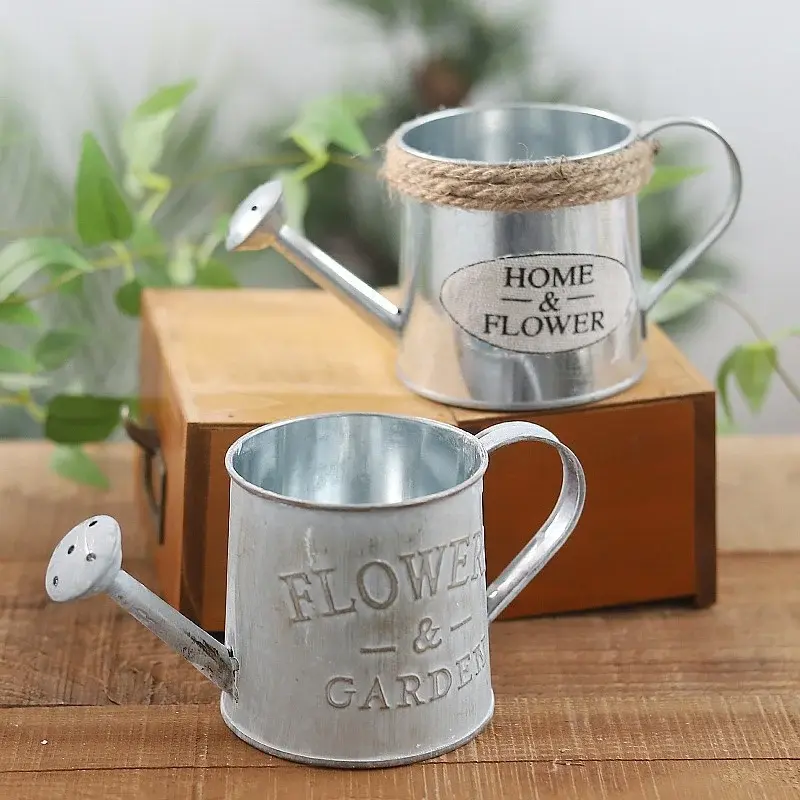 Sliver Small Iron Watering Tools Suitable Home Garden Irrigation Ornaments Retro Iron Bucket Plant Flowers Pots Accessories