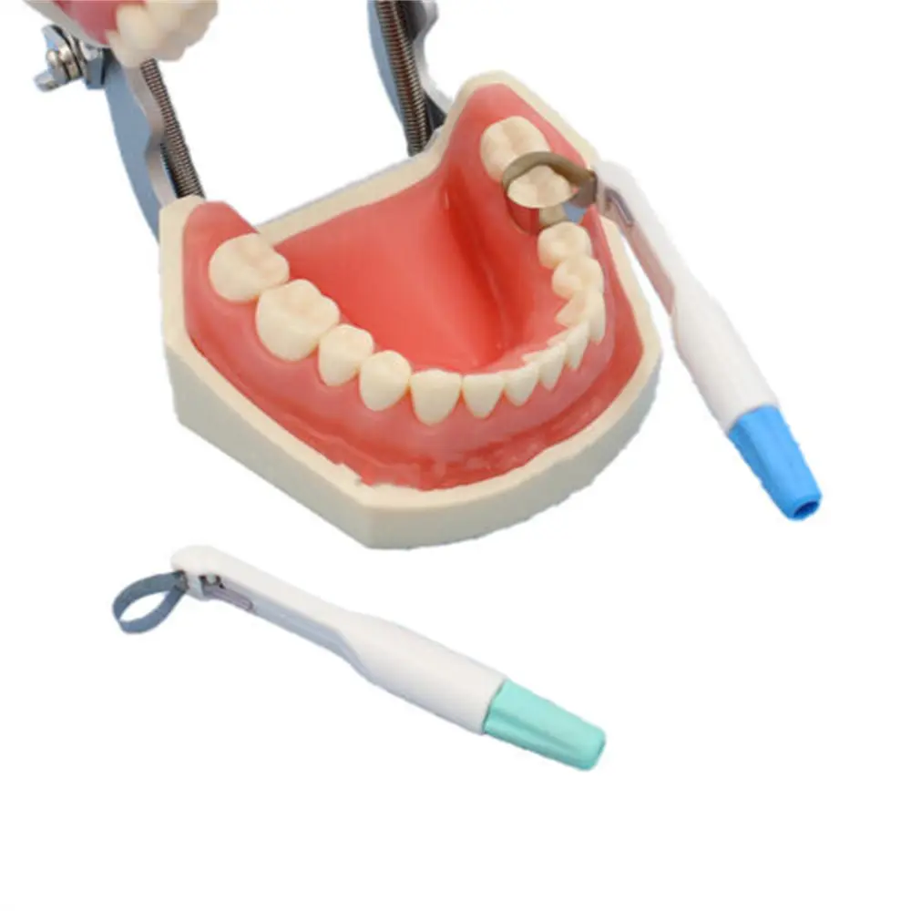 50Pcs Dental Adjustable Matrix Bands Holder Disposable Matrices System Clamps Pro Metal Tooth Pre Formed 4.5mm 6mm Dentistry