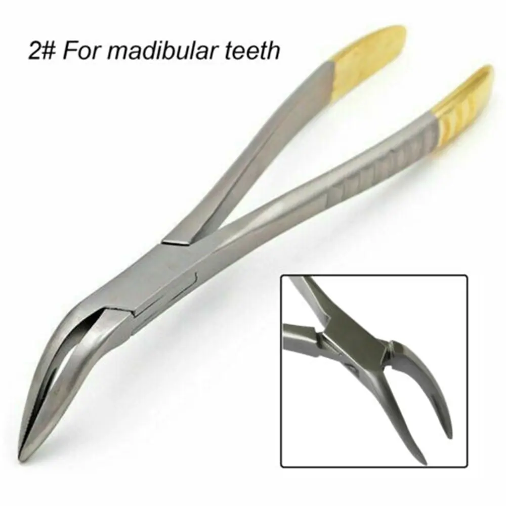 Dental Root Fragment Maxillary Mandibular Invasive Extraction Forceps Pliers