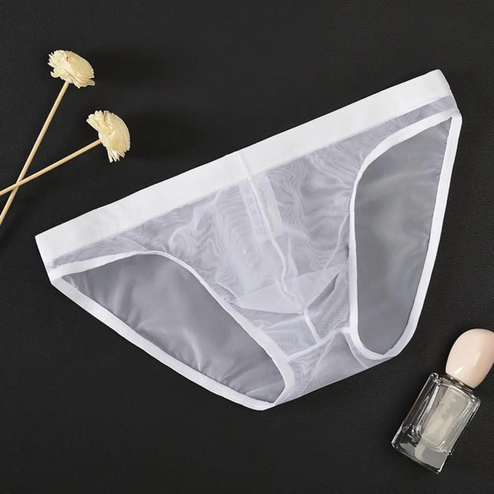 Low Rise Men Briefs Sexy Transparent Net Yarn Panties Triangle Summer Perspective Mesh Briefs Ultra Thin Briefs Men Underwear