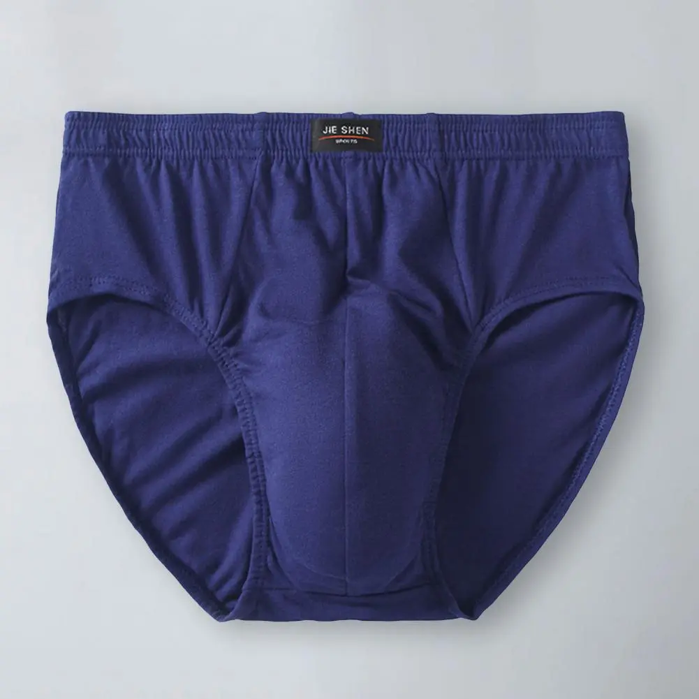 2025 Big Size Men Panties Men's High Waisted Modal Breathable Oversized Plus Fat Triangle Underwear Elasticity Underpants