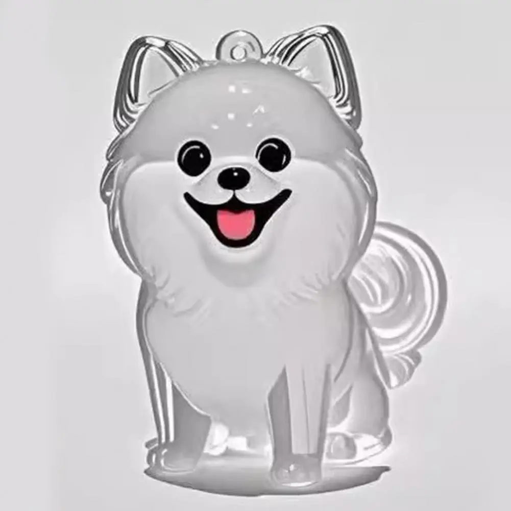 Pet Hair Keepsake Keychain Pet Hair Storage Box Keychain Portable Memory Holder for Fur Collection Secret Souvenir Box for Pet
