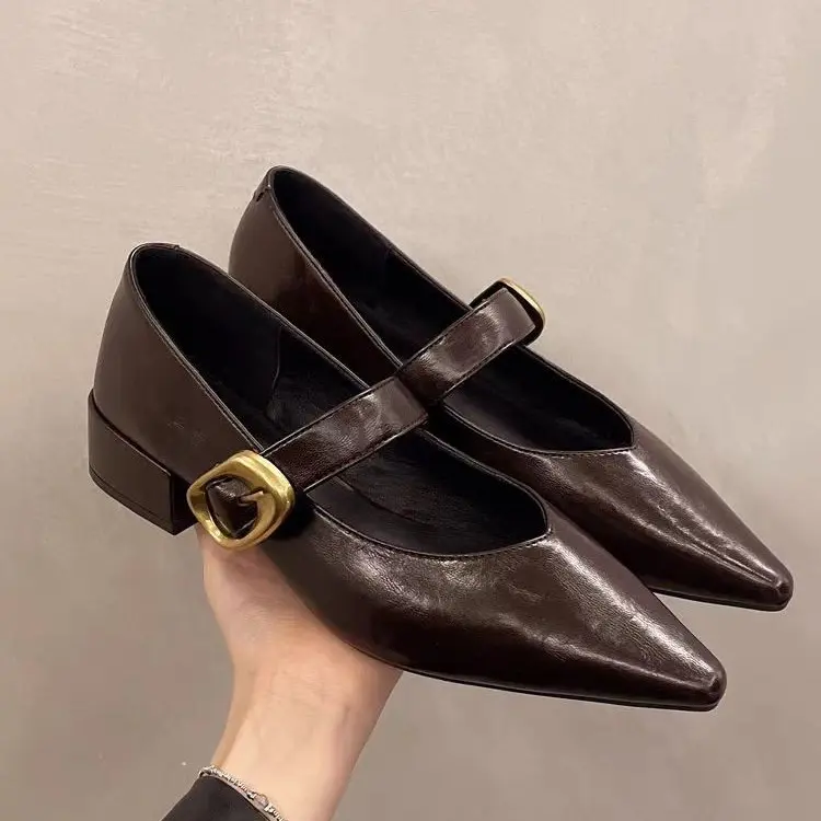Pointed Mary Jane Single Shoes Women's Spring New Fashion Retro Shallow Mouth Thick Heel Small Leather Shoes