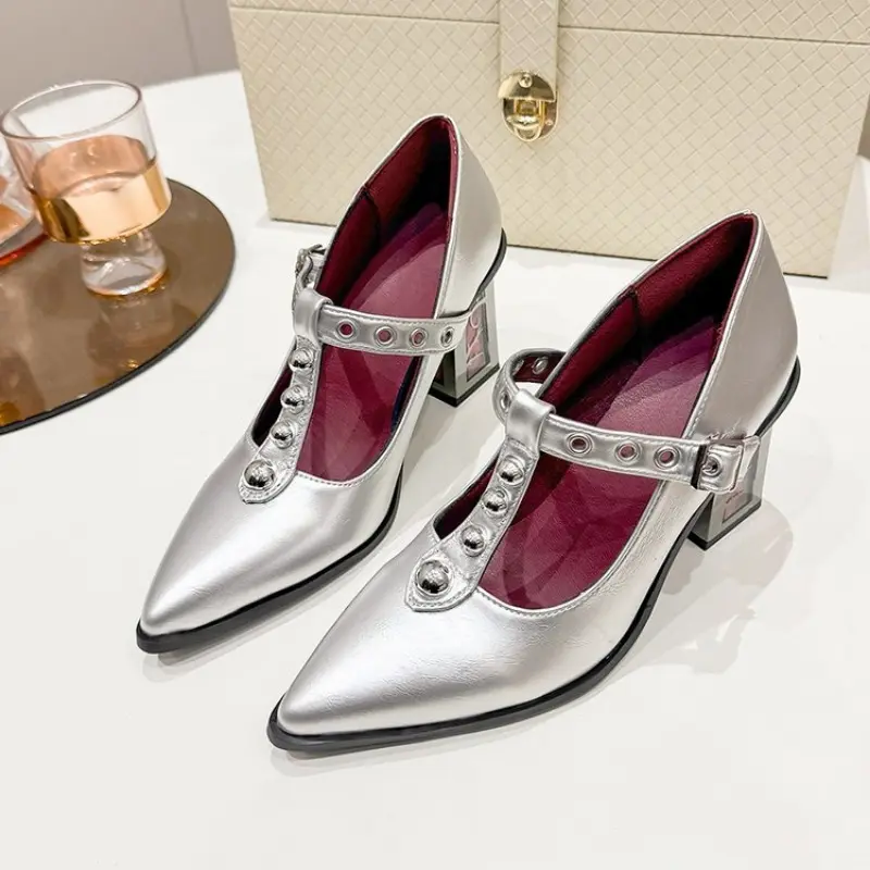 Women's Fashion Thick Heel Shoes Spring New Pointed Head Shallow Mouth Rivets Metal Buckle Line Belt High Heels
