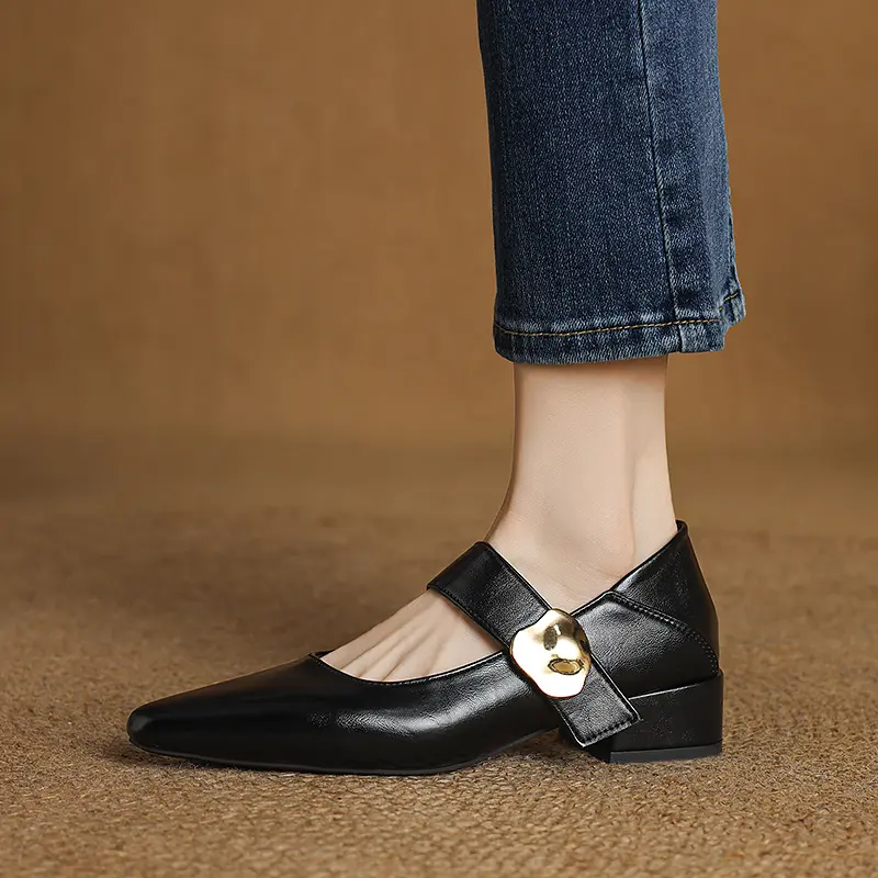 Women's Thick Heel Shoes Autumn New Pointed Head Shallow Mouth Metal Buckle Soft Sole Non-slip Low Top Shoes