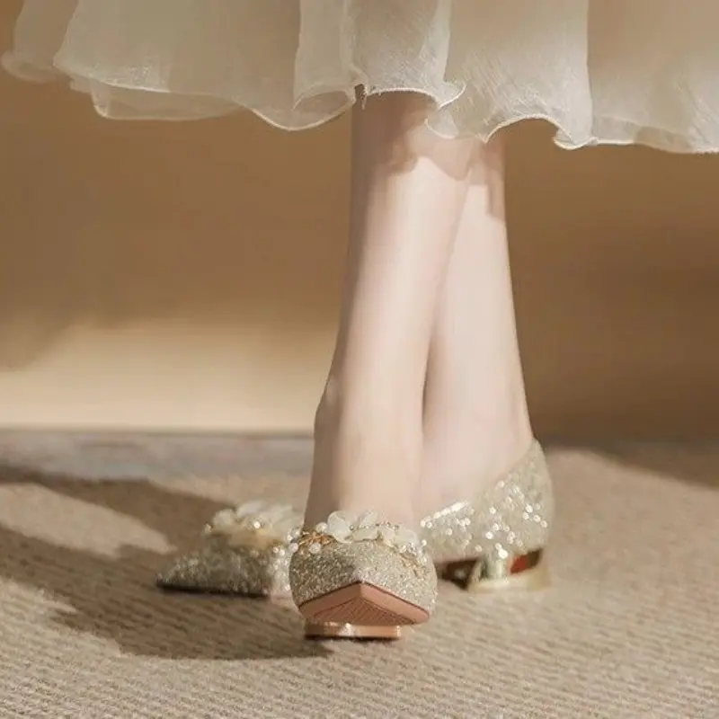 Fall New Coarse Heel Shoes Women's Pointed Head Glitter Cloth Flowers Anti-slip Wear-resistant Low-top Shoes