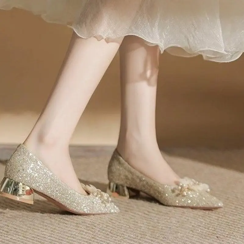 Fall New Coarse Heel Shoes Women's Pointed Head Glitter Cloth Flowers Anti-slip Wear-resistant Low-top Shoes