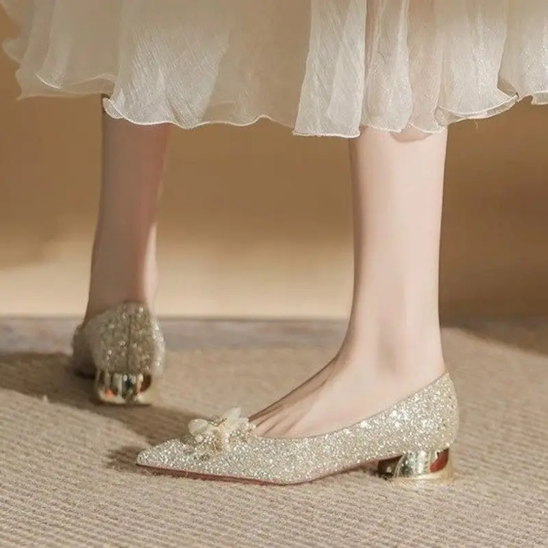 Fall New Coarse Heel Shoes Women's Pointed Head Glitter Cloth Flowers Anti-slip Wear-resistant Low-top Shoes