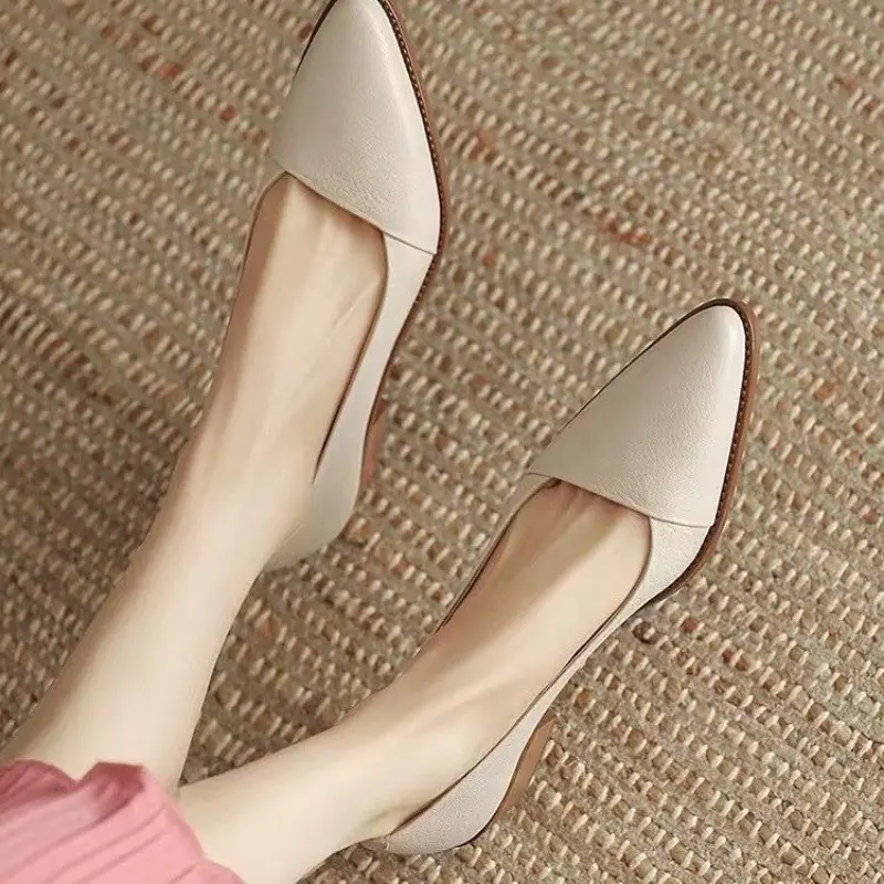 Women's Coarse Heel Shoes Spring New Pointed Head Shallow Mouth Soft Sole Waterproof Non-slip Low-top Shoes